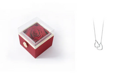 BloomSpin Acrylic Jewellery Organiser