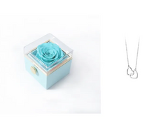 BloomSpin Acrylic Jewellery Organiser