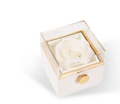 BloomSpin Acrylic Jewellery Organiser