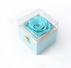 BloomSpin Acrylic Jewellery Organiser