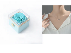 BloomSpin Acrylic Jewellery Organiser