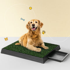 i.Pet Dog Training Pad with Tray & Grass Mat