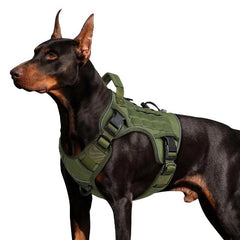 No-Pull Reflective Dog Harness - Large, Army Green