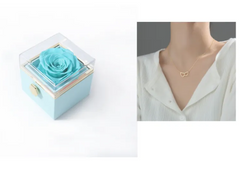 BloomSpin Acrylic Jewellery Organiser